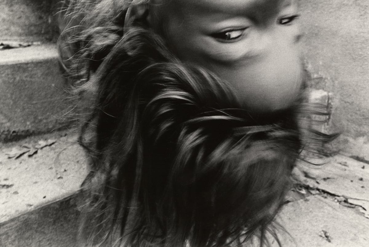 【SEAL限定商品】 Cohen Mark - Silverstein Bruce | Overview アート写真