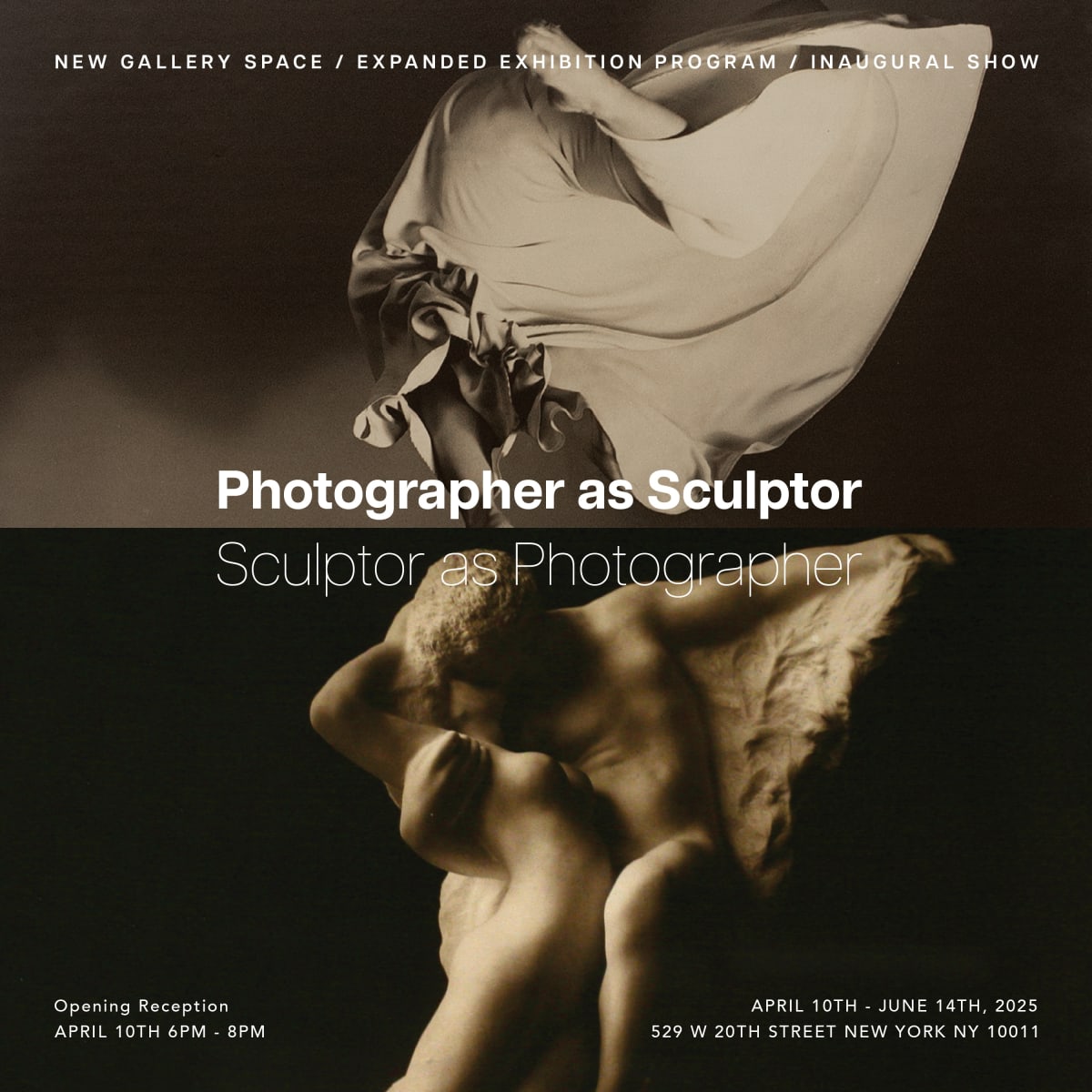 Constantin Brâncuși - Series | Bruce Silverstein