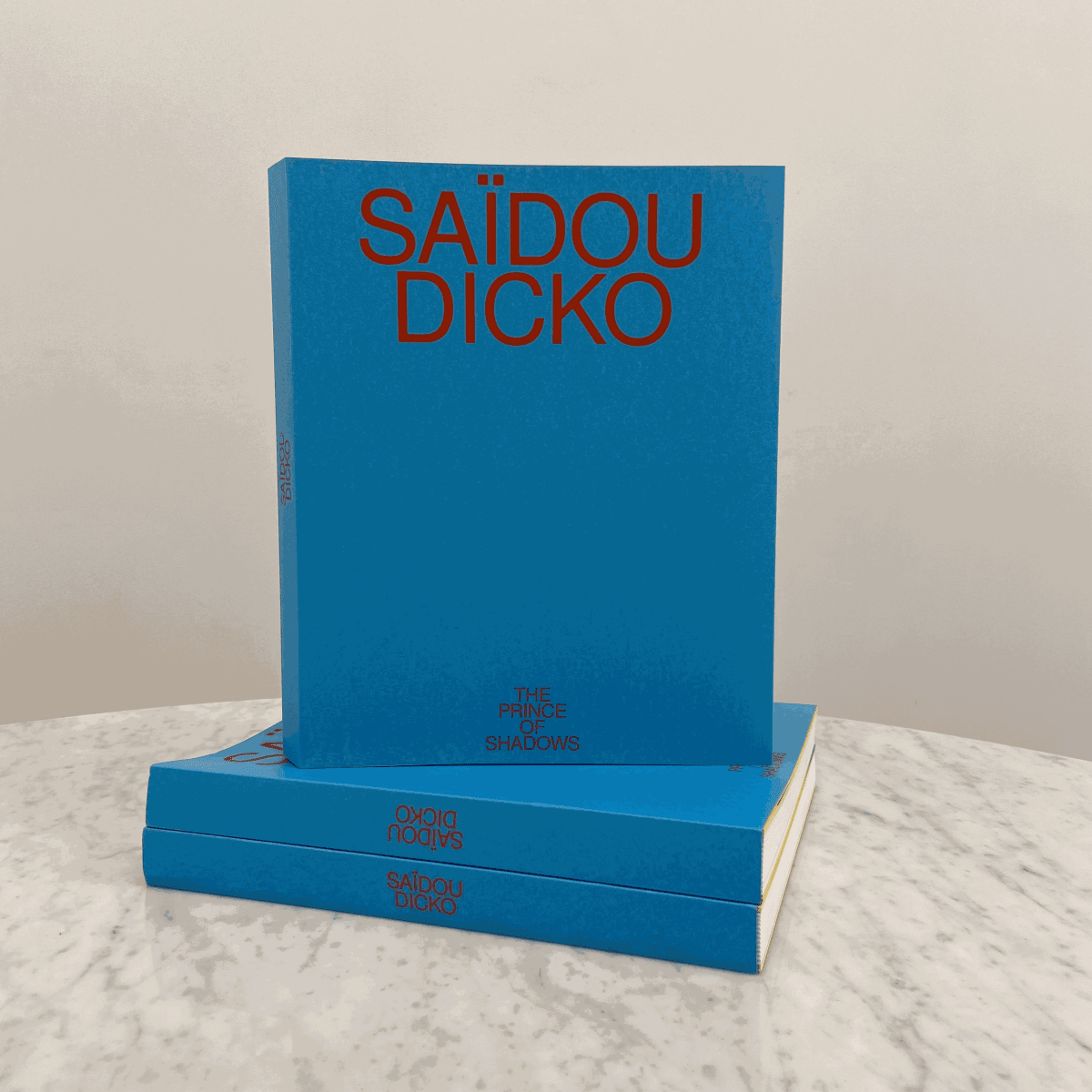 Livre Saïdou Dicko The Prince of Shadows Publications AFIKARIS