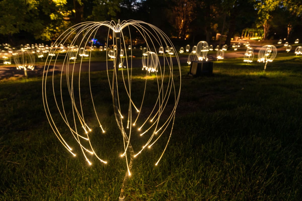 Bruce Munro | Light Creations
