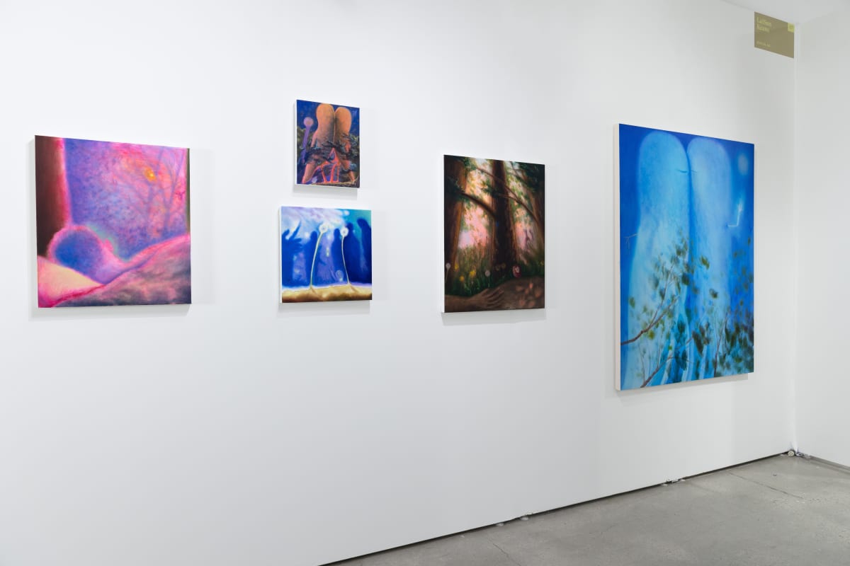 Installation view - Future Fair 2024