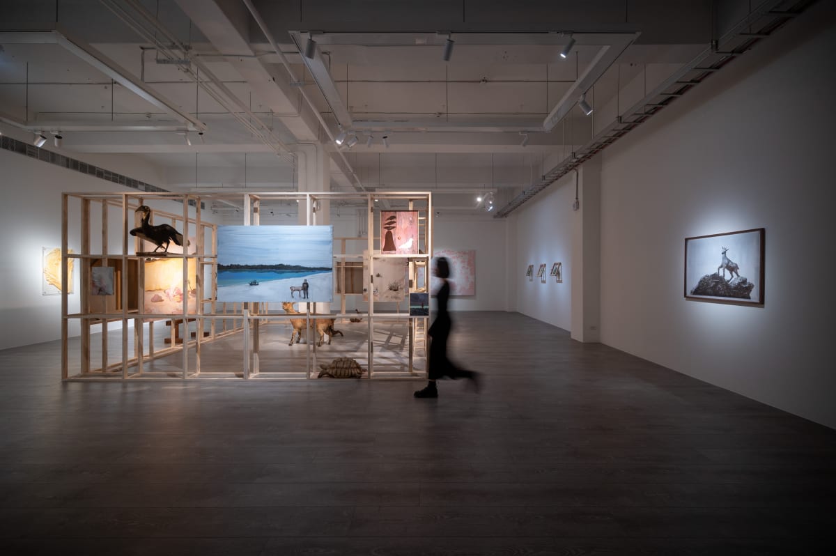 人類與動植物關係學