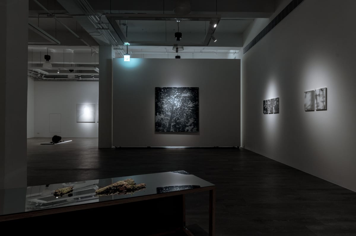 Li Shih-Wen:The Wild