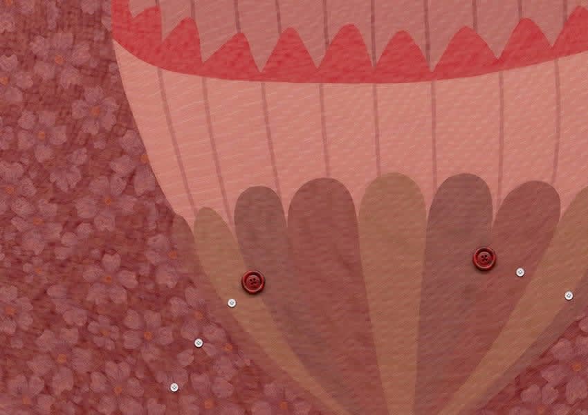 Buttons and Tears: The Characters of Zhi Wei (and their fondness for them)