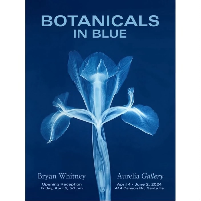 Botanicals in Blue, Botanical Cyanotype X-Rays