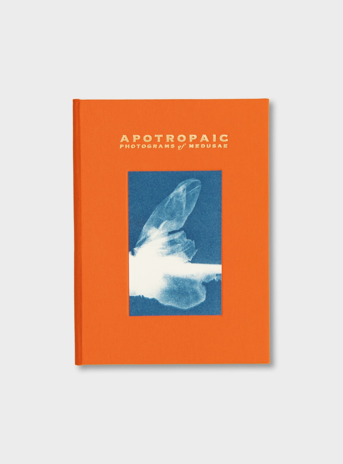 Rachel Thomson: Apotropaic - Photograms of Medusae