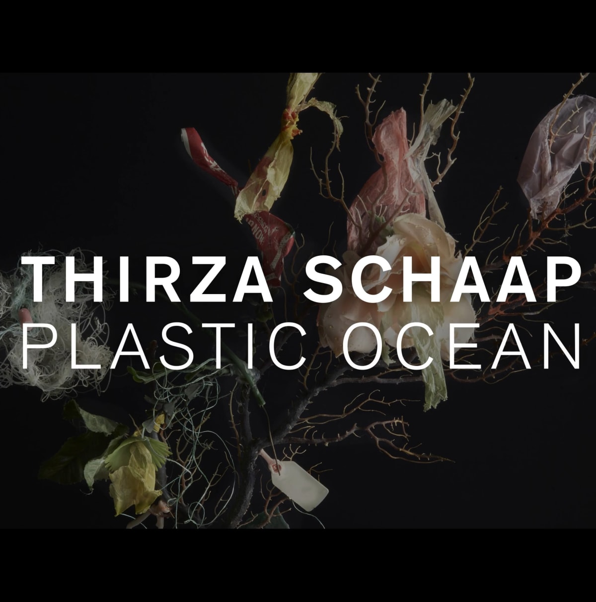 THIRZA SCHAAP – ABOUT HER SERIES “PLASTIC OCEAN”
