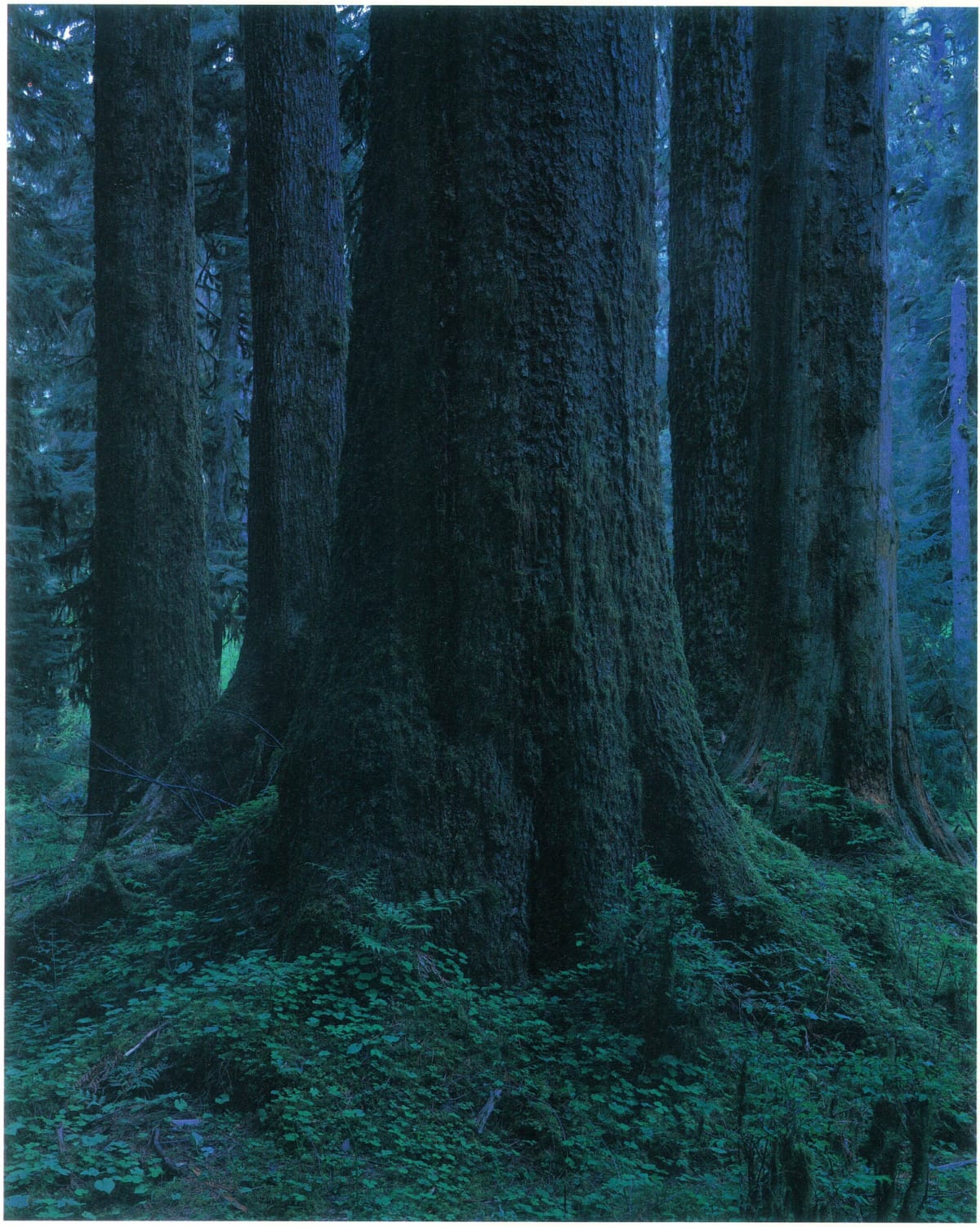 Yoshihiko Ueda | 24 March - 1 May 2010 | Michael Hoppen Gallery