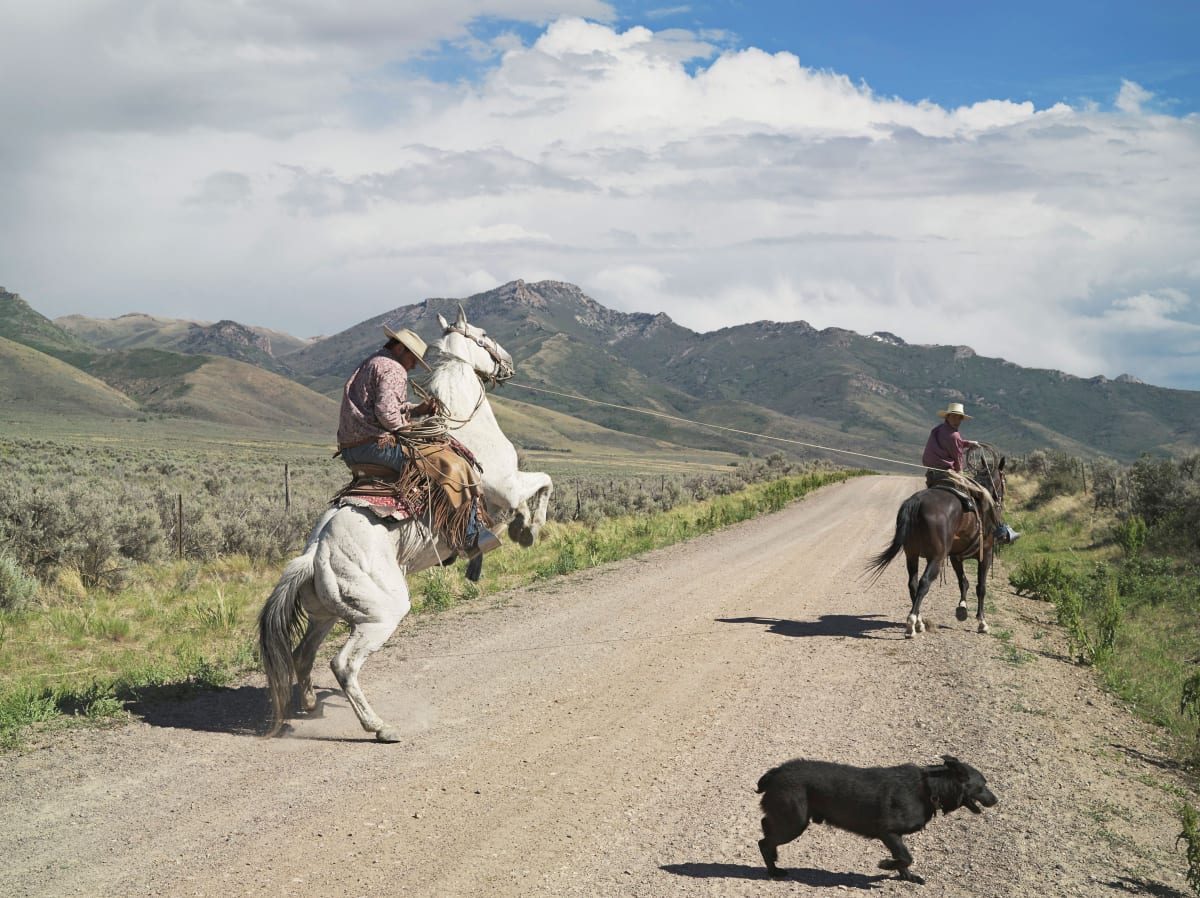 Lucas Foglia | Michael Hoppen Gallery