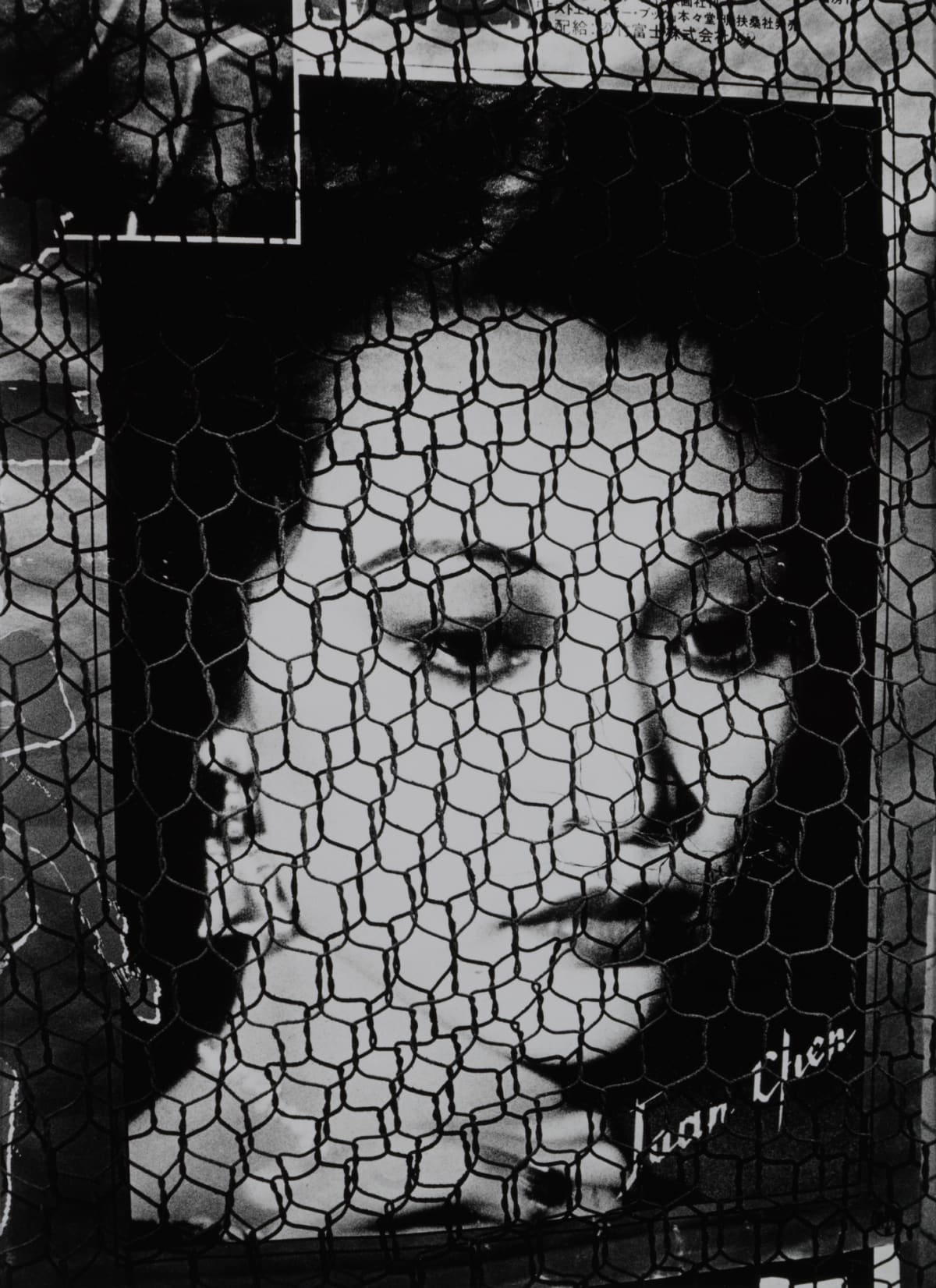 Daido Moriyama | Michael Hoppen Gallery