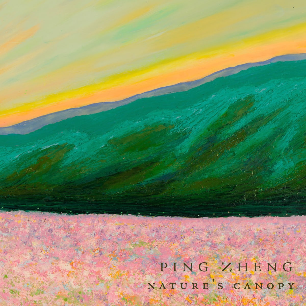 Ping Zheng