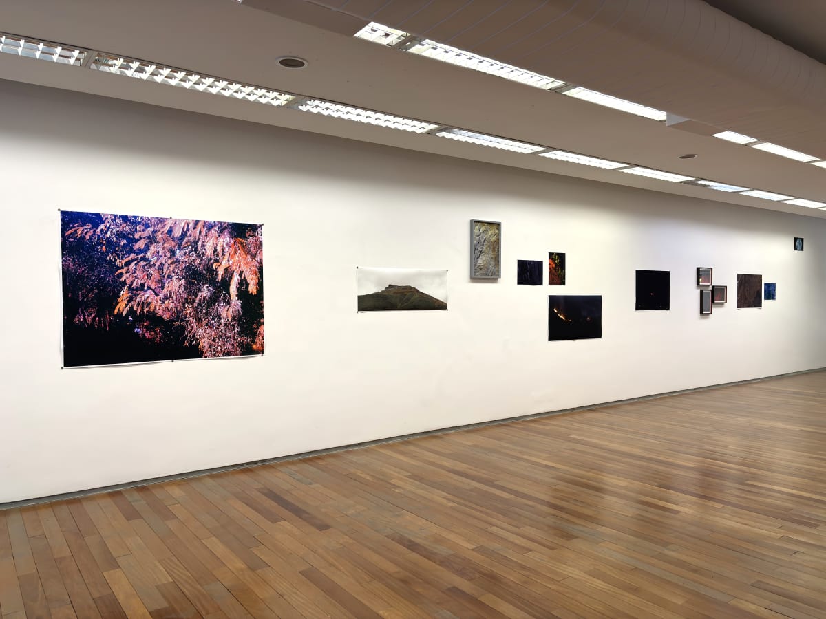 Residências cruzadas Artes & Ciências França-Brasil Emma Charrin