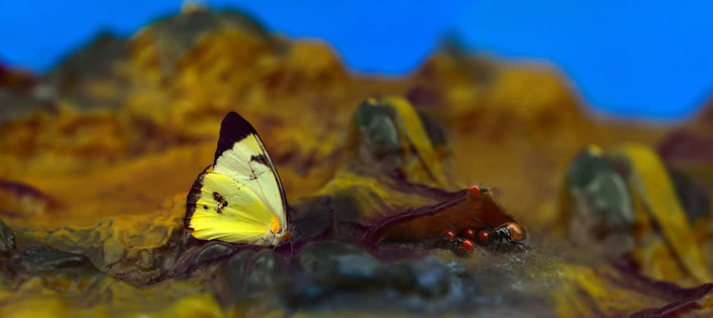 Bienalsur 2023 - Signos na Paisagem