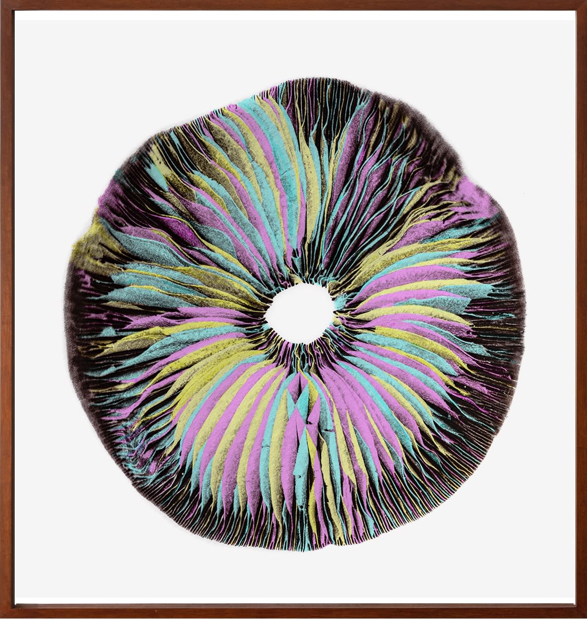 Exposição Institucional: Museu de Artes e Ofícios