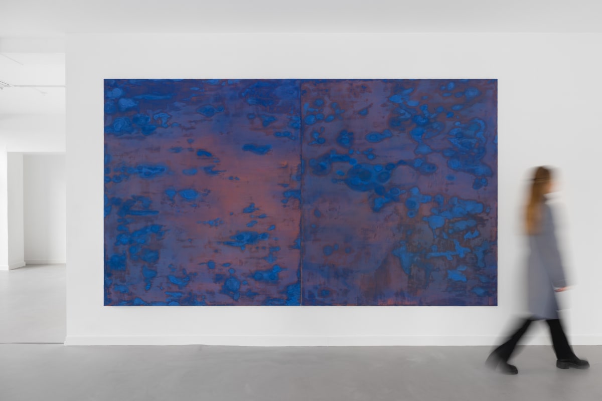 Birk Bjørlo, Waste Land, Brigade Gallery, Photo by Mikkel Kaldal