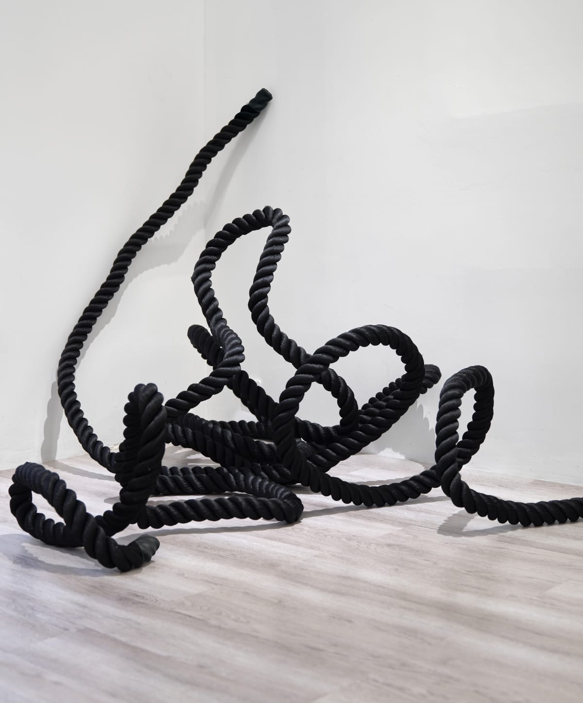 Art Talk | Ruyun Gao