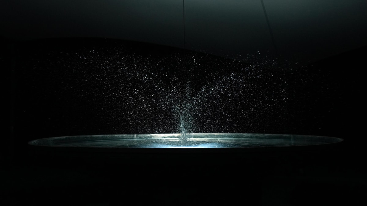 WASSER Peter Buechler | Jacqueline Hen | Sebastian Kite | Boris Petrovsky | Fabrizio Plessi | Dimitris Tzamouranis