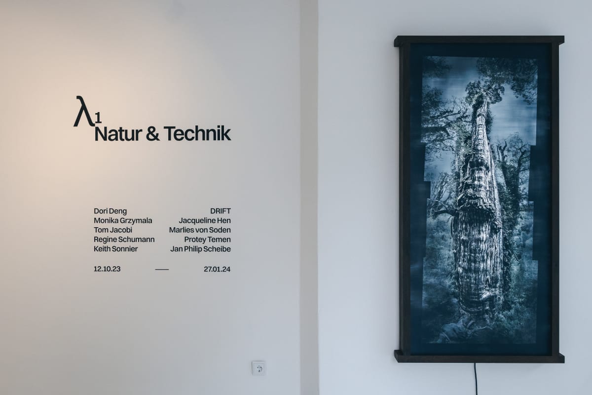 Monika Grzymala's Aerial installation | ITSLIQUID