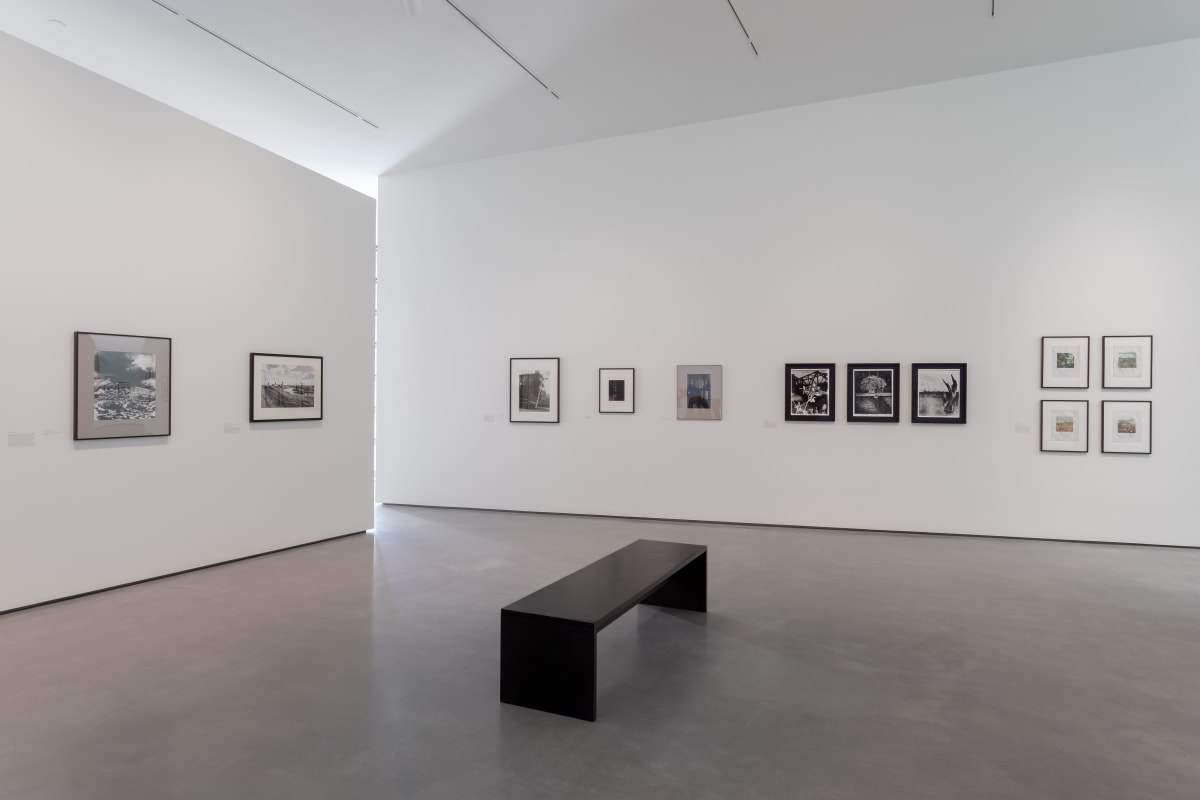 Modern Nature. Photographs from the Hyman Collection