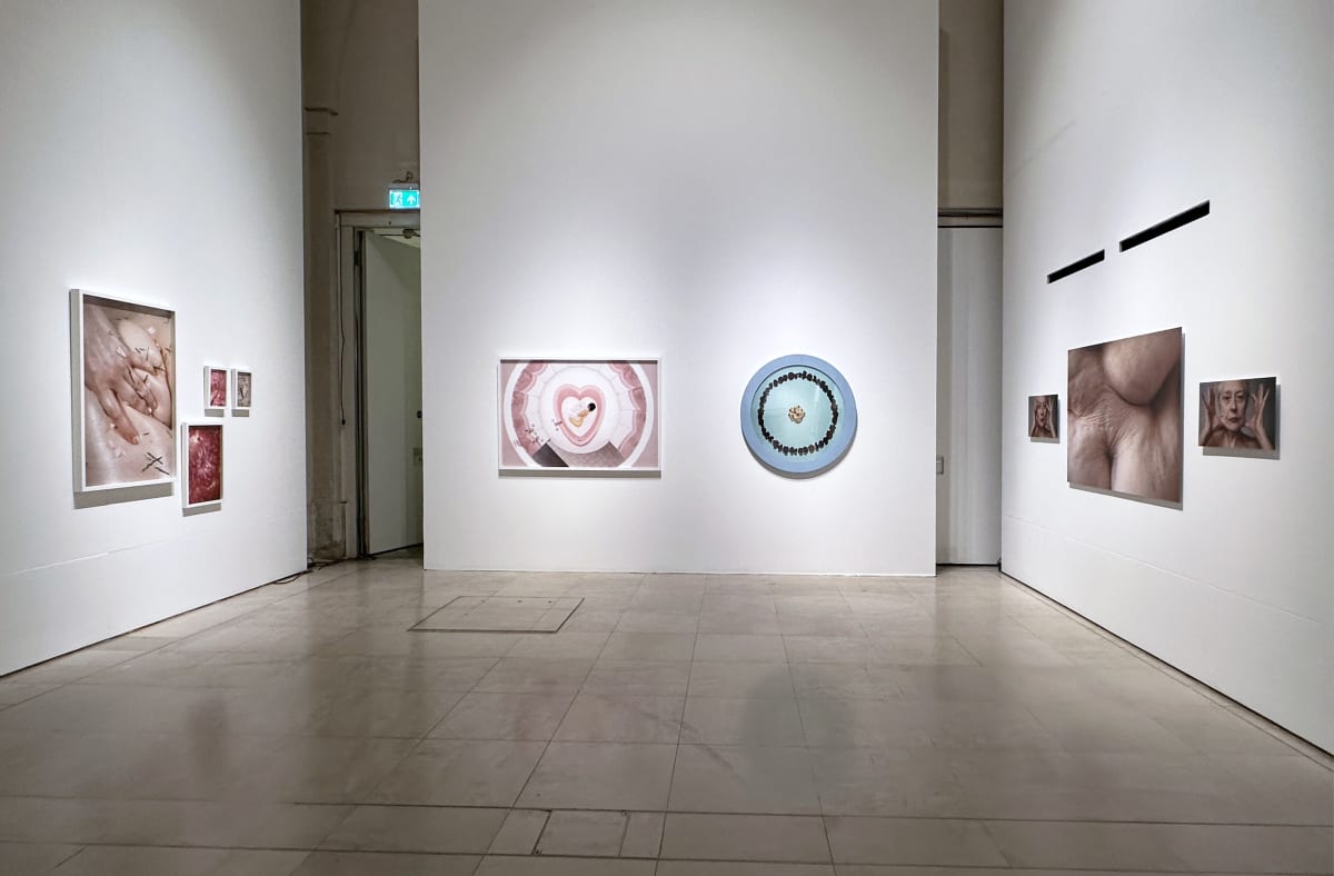 Sarah maple exhibitions the hyman collection