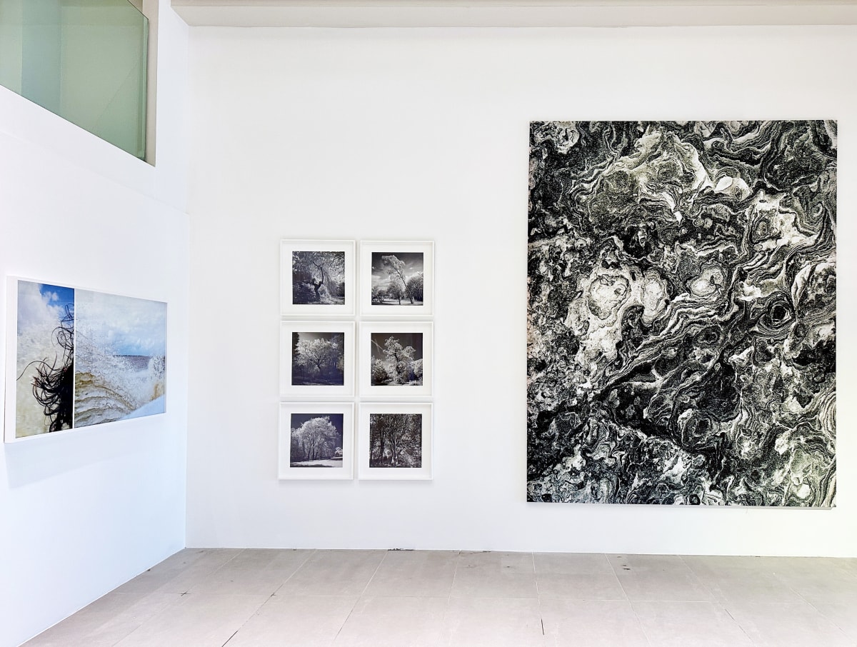 James Hyman curates Landscape Trauma