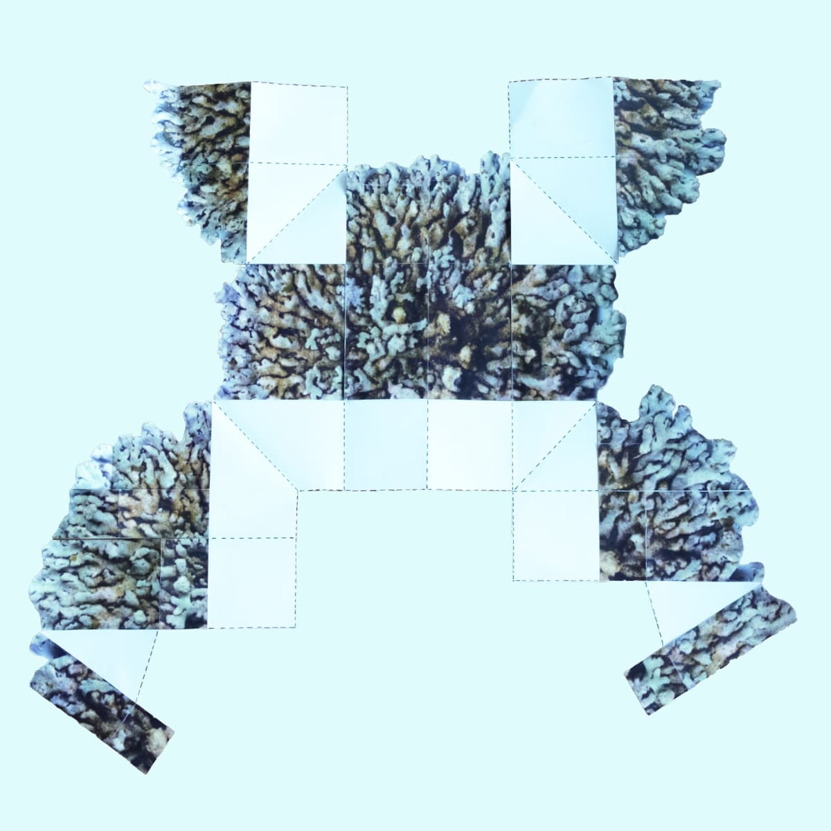 Image: Liesbeth Henderickx - Pattern work in progress, 588 x 554mm, 2024