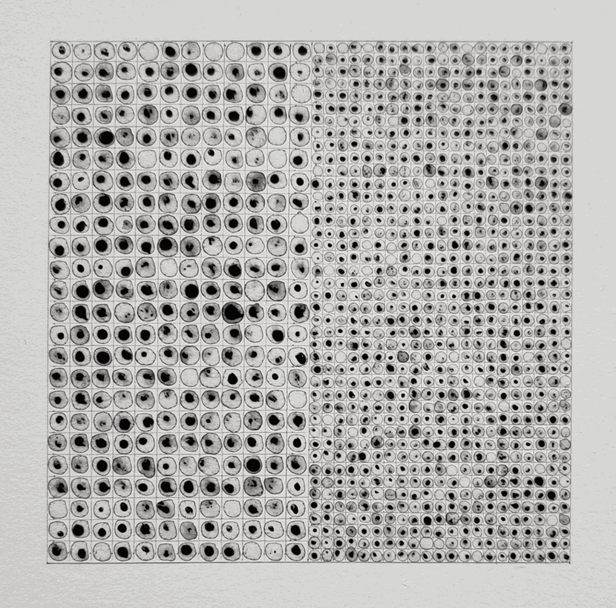 TEO GONZÁLEZ AT SAN DIEGO MUSEUM OF ART