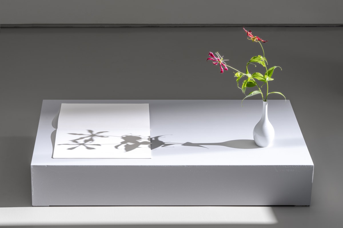 【予約】 Order The of ART SEOJUNG | 2024 December 28 - November 15 | Time 絵画