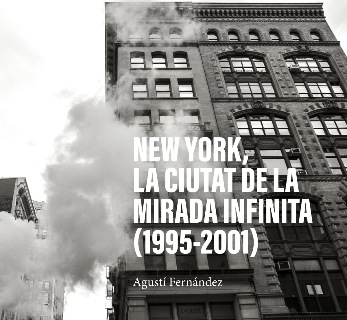 NEW YORK LA CIUTAT DE LA MIRADA INFINITA (1995-2001)