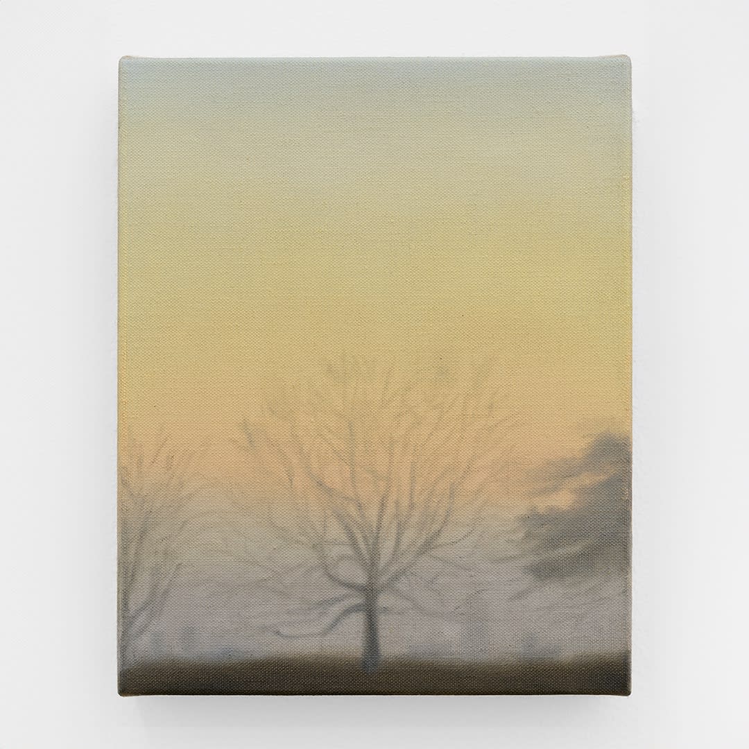 James Morse & Dylan Williams