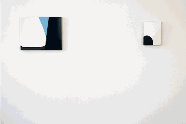 Geometric Abstractions