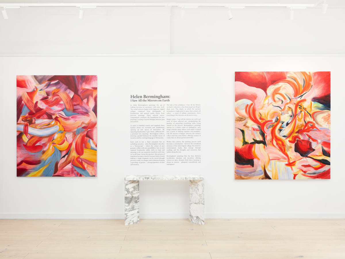 I Saw All the Mirrors on Earth Helen Bermingham