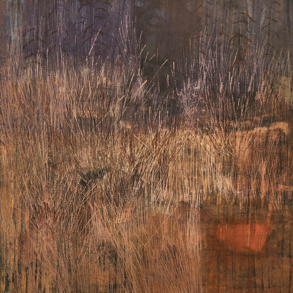 Michelle Hungerford Tough Ground | Deep Heart