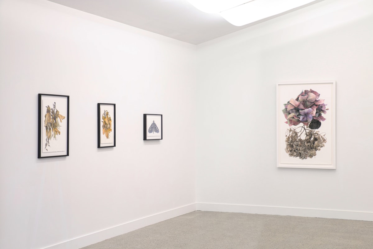 LIAM GERRARD After the Garden