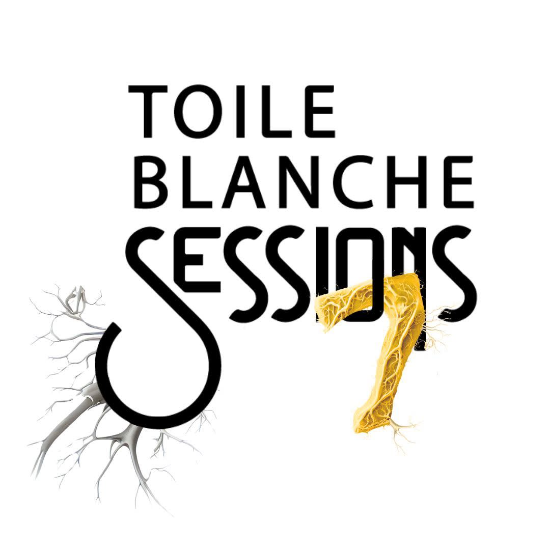 Toile Blanche Session 7