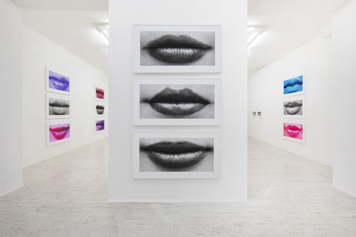 Sam Samore "Schizophrenic Beauty (Continued)"