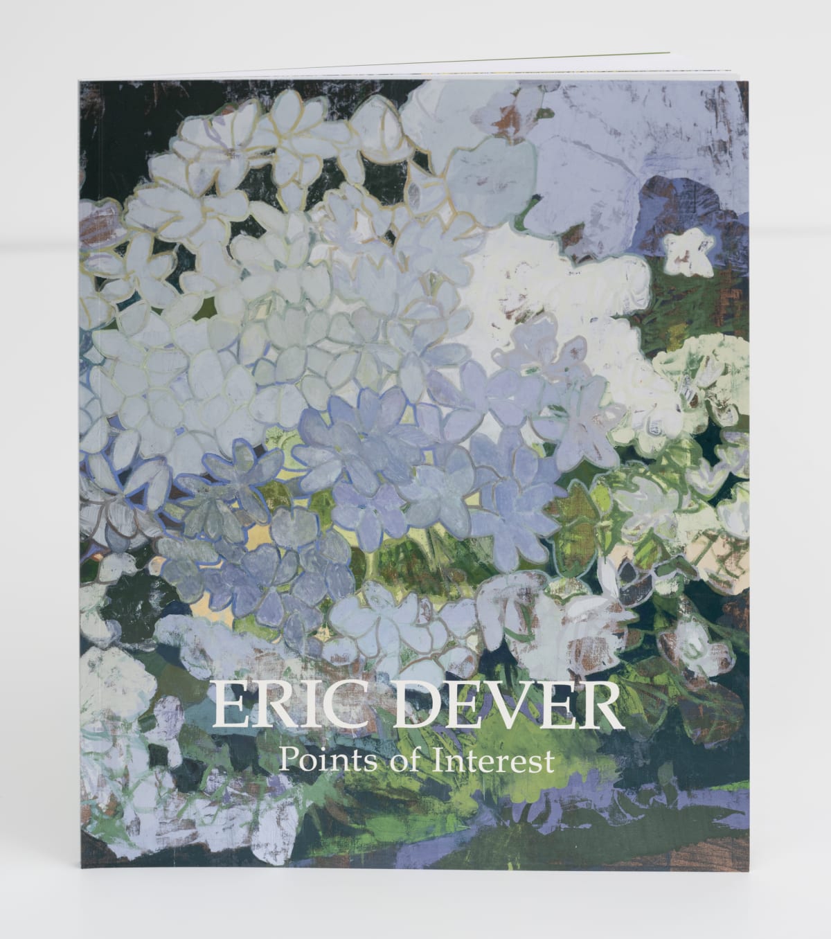 Eric Dever: Points of Interest