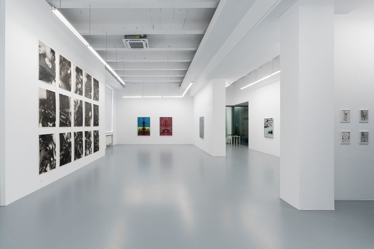 RADU PANDELE: TIGERTIGER