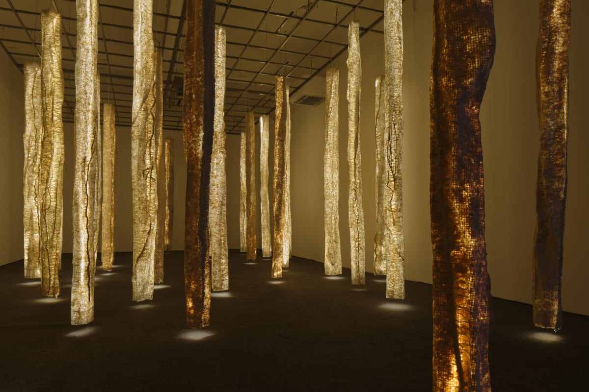 施慧：纯白之思