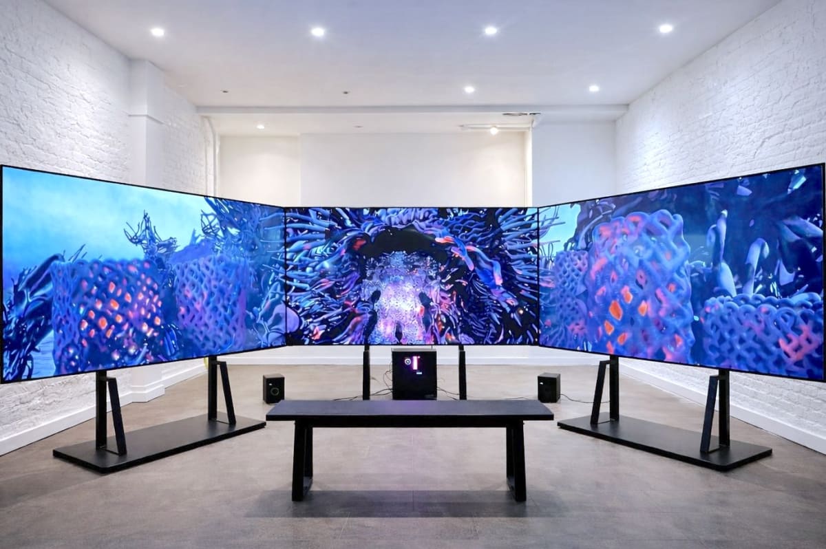 TRANSFER Download: AliveNET Chia Amisola, Leo Castañeda, Carla Gannis, Huntrezz Janos & Antigoni Tsagkaropoulou, Fabiola Larios, Rosa Menkman, Lorna Mills, Eva Papamargariti, Yoshi Sodeoka | with TRANSFER