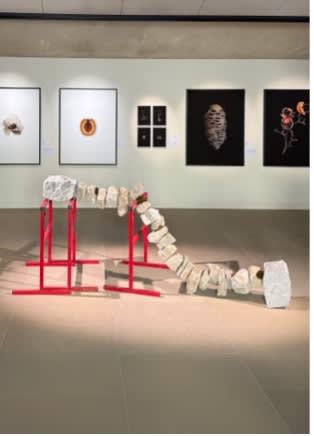 Interview: Victor Guerin / Cracks of Potential, Neumunster Abbey, Luxembourg,