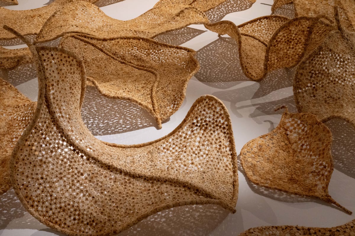 BIOGRAPHY Prashant Pandey