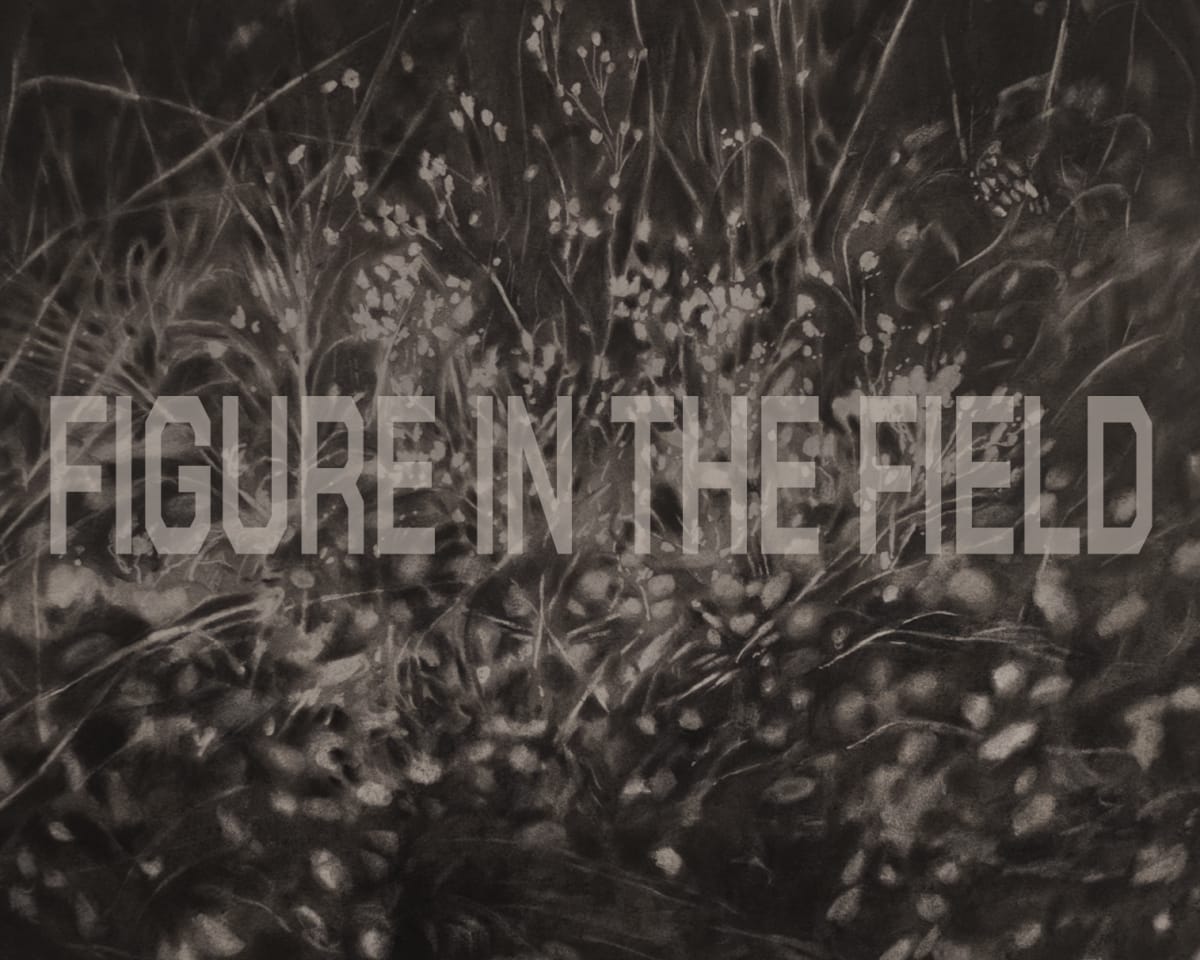 Figure in the Field Group Exhibition | Curated by Jan Dickey