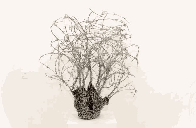 Abdul Rahman Katanani b. 1983 Palestine