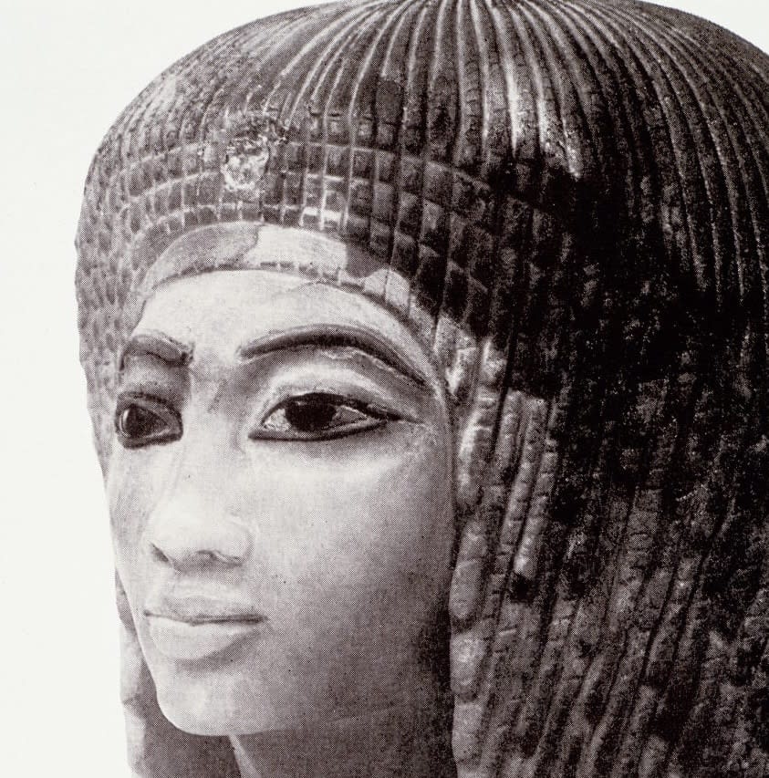 Lorraine O'Grady: Miscegenated Family Album