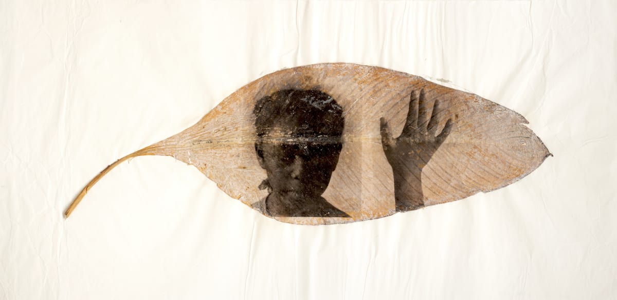 Selections from The Petrucci Family Foundation Collection of African American Art