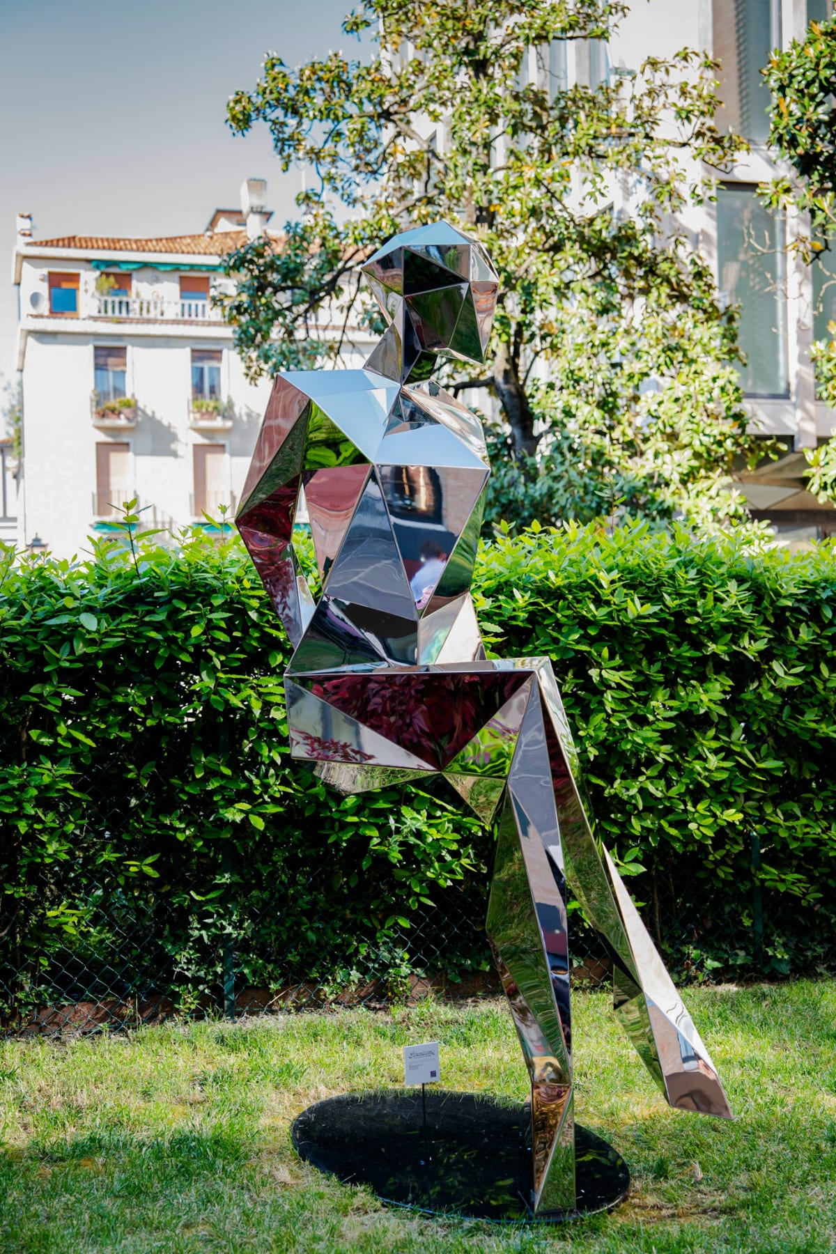 In Venice wins visionary art