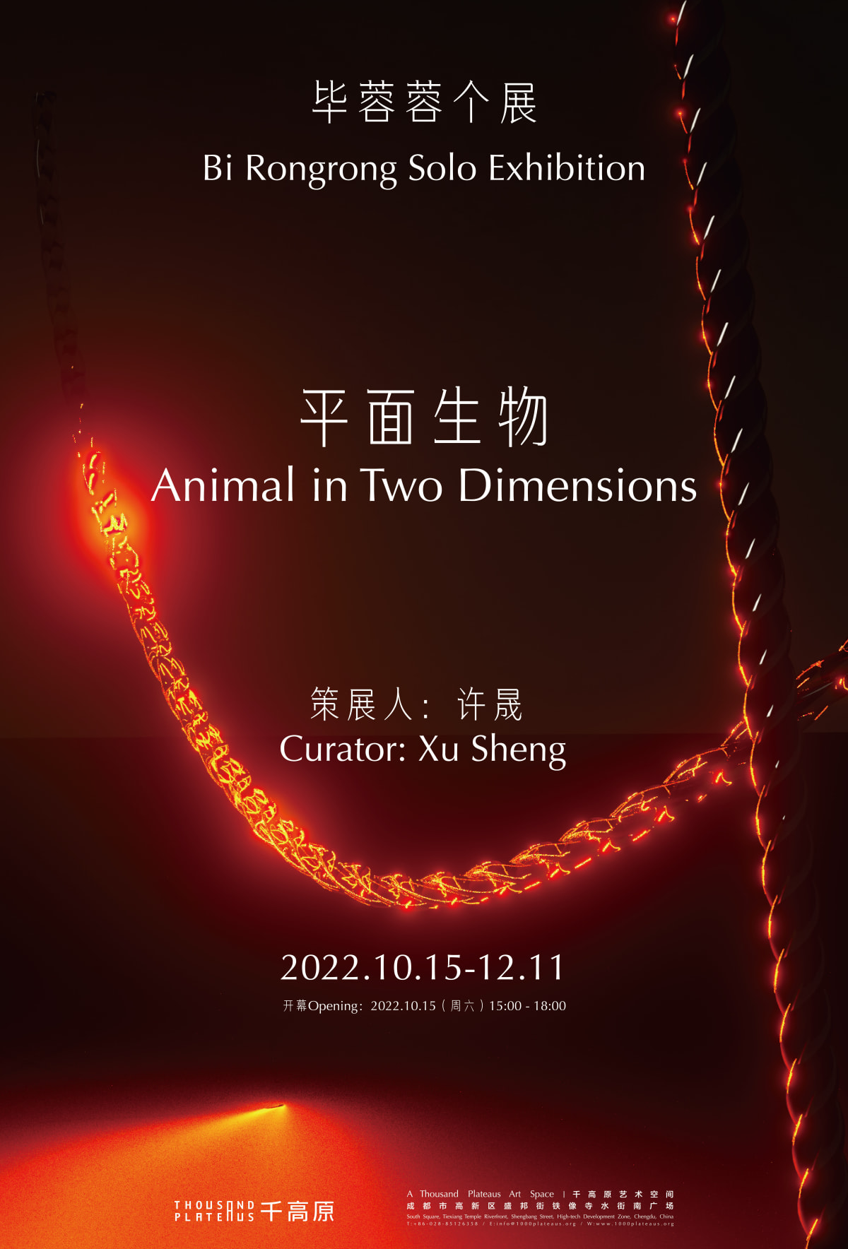 展览| A Thousand Plateaus Art Space