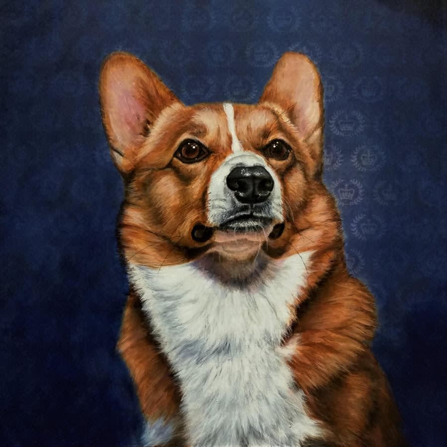 corgi bird
