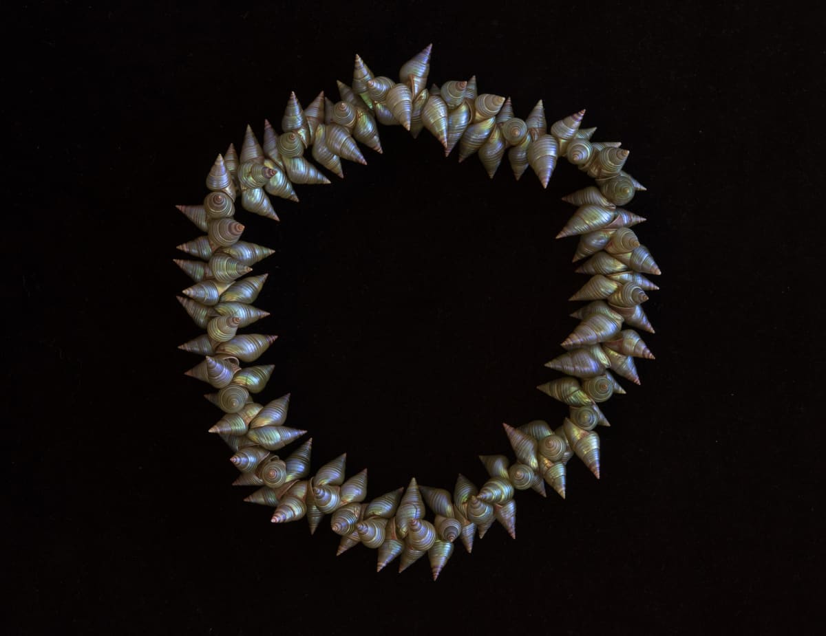 Maireener shell shop necklaces for sale